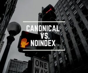 Wanneer gebruik je een canonical of noindex link?