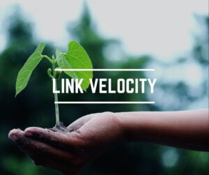 Link velocity: is dit een ranking factor?